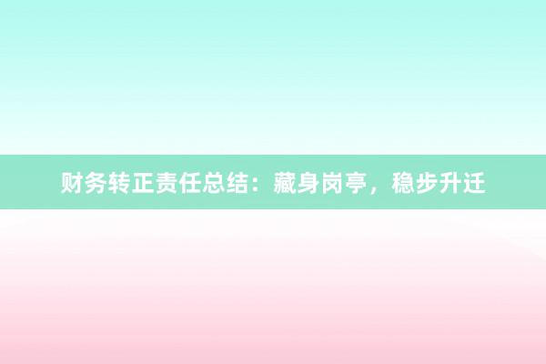 财务转正责任总结：藏身岗亭，稳步升迁