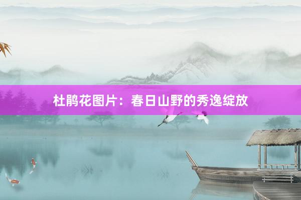 杜鹃花图片：春日山野的秀逸绽放